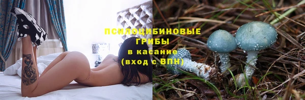 дмт Абинск