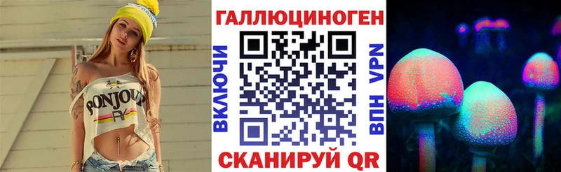 OMG Камень-на-Оби Псилоцибиновые грибы Psilocybine cubensis