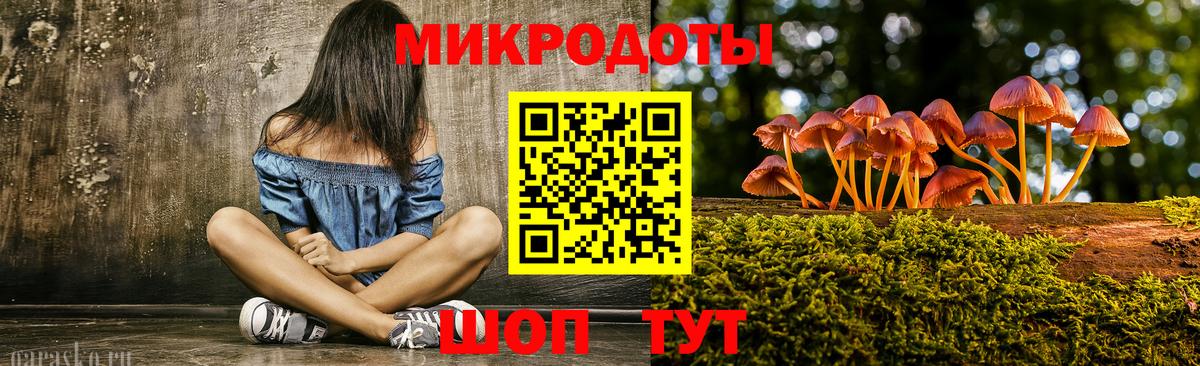 Галлюциногенные грибы мицелий Камень-на-Оби